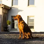 Bed and breakfast Aynsome Manor 4*