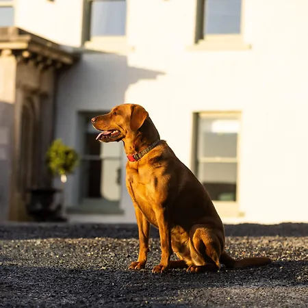 ベッド・アンド・ブレックファスト Aynsome Manor 4*