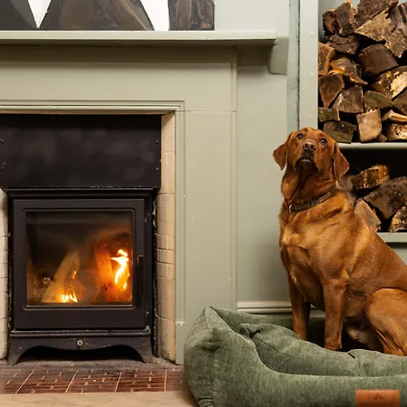 Aynsome Manor Bed & Breakfast Cartmel