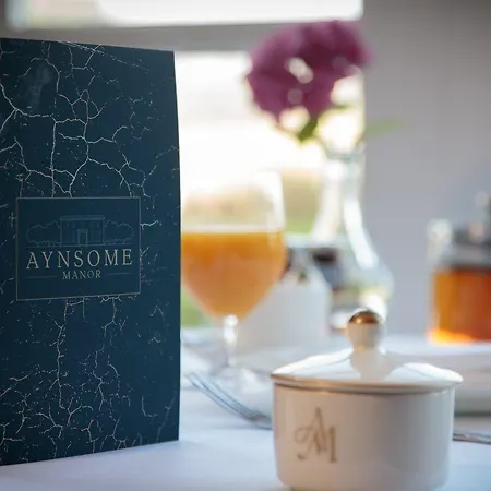 Aynsome Manor 4*